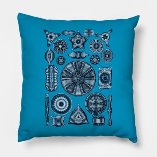 Ernst Haeckel Diatoms Navy Blue Pillow