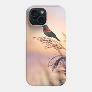 Red Winged Blackbird Sunset Phone Case