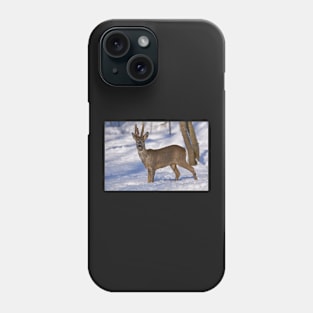 Roe deer in the forest Phone Case