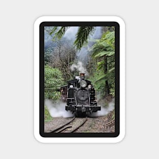 Puffing Billy, Selby, Vic Magnet