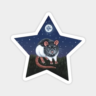 Grey Hooded Rat Star Magnet