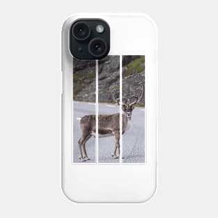 Wonderful landscapes in Norway. Nord-Norge. Beautiful reindeer watching me going to Nordkapp (vertical) Phone Case