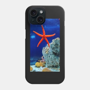 Patrick the starfish in real life! Phone Case