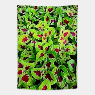 coleus leaves pattern Tapestry