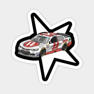 nascar Magnet