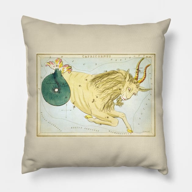 Capricorn zodiac sign Pillow by MiRaFoto