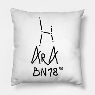 Ara Constellation by BN18 Pillow