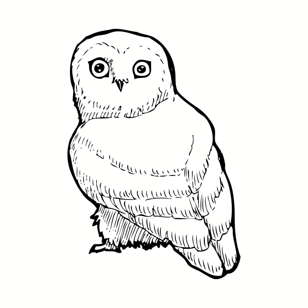 Inktober Saw Whet Owl by UntidyVenus