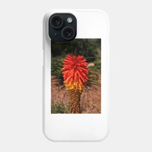 Red desert flower Phone Case