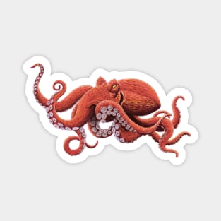 Giant Pacific Octopus Magnet