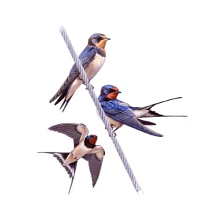 Barn Swallows T-Shirt