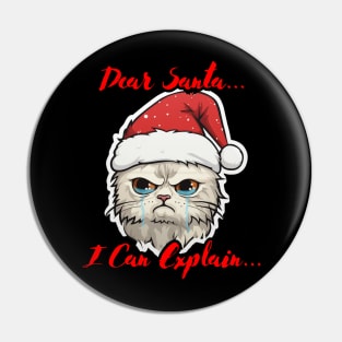 Dear Santa I Can Explain Cat Pin