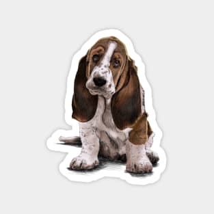 Basset - Hound Magnet