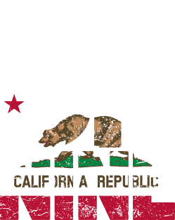 California Area Code 909 California Republic Flag Magnet