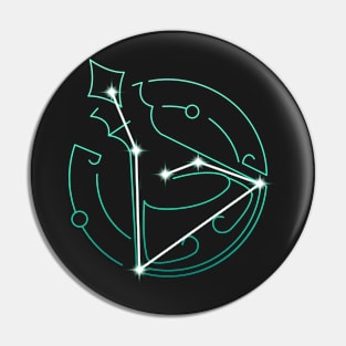 Ampulla Constellation Pin