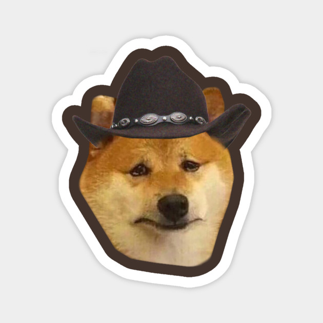 cowboy hat dog