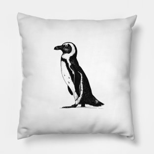 African Penguin Pillow