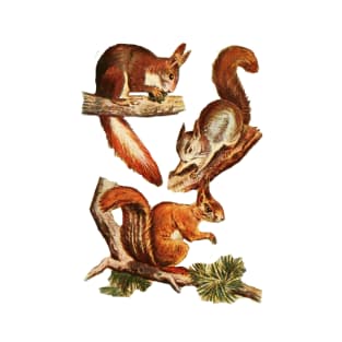 Squirrels at Play T-Shirt