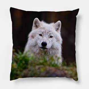 Arctic Wolf Pillow