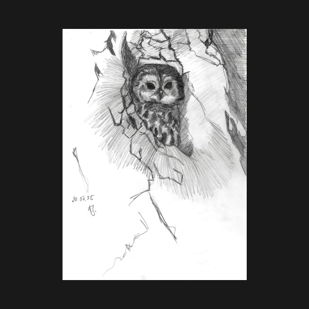 Owl Sketch greeting card by Nicole Janes by nicolejanes