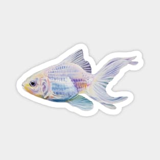 White Goldfish #2 - fish painting (no background) Magnet