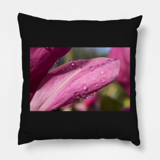 After the Rain Pillow