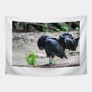 Vulture Tapestry