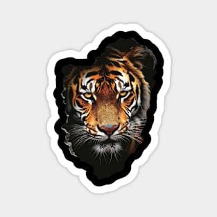 Tiger Color Mimicry Magnet