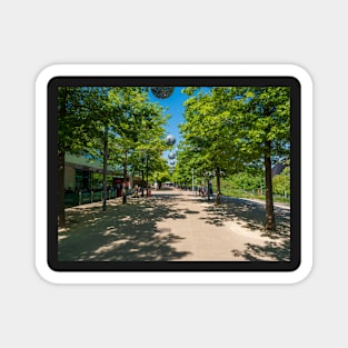 Blue skies,trees and shades at the Olympic park Magnet