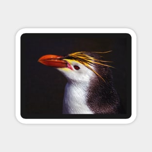 Royal Penguin Portrait Magnet