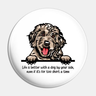 Life is better with a dog by your side, even if it's for too short a time Pin