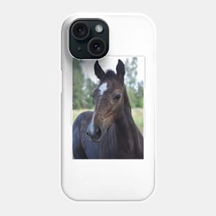 TB COLT Phone Case