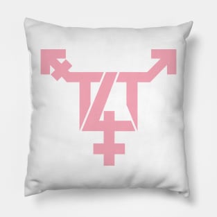 T4T  Symbol - Trans Love - Pink Pillow
