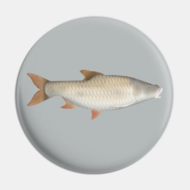 True big-scale tetra Pin by FishFolkArt