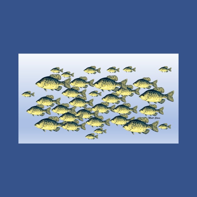 Crappie school by Matt Starr Fine Art