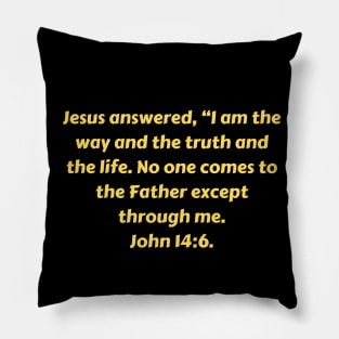 Bible Verse John 14:6 Pillow