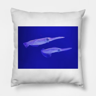 Monterey Bay Study 12 Pillow