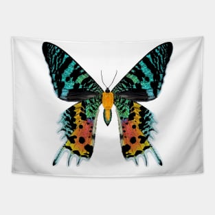 Madagascan Sunset Moth Illustration Tapestry