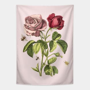 Rose Flowers with Bees, Vintage Botanical Illustration Collage Tapestry