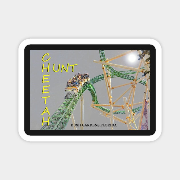 Cheetah Hunt coaster work A Magnet by dltphoto