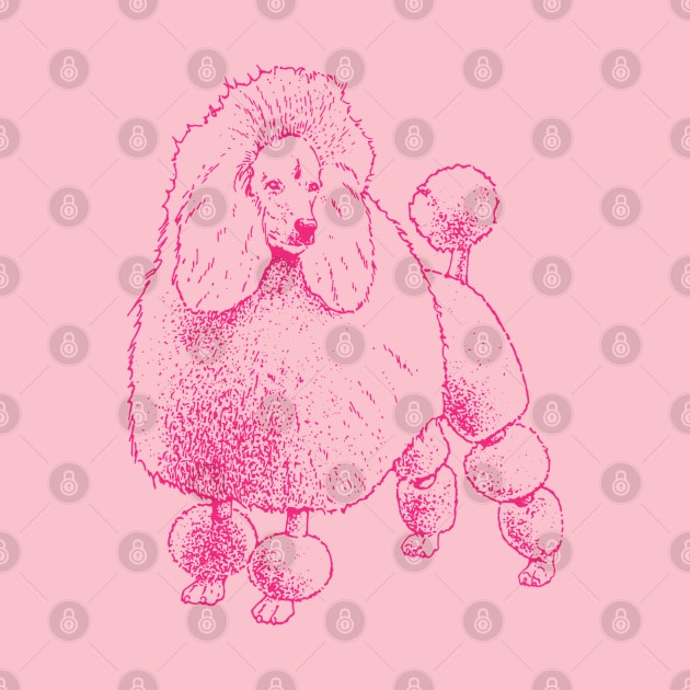 Pink Poodle Design Poodle Lover French Poodle Lover by penandinkdesign@hotmail.com