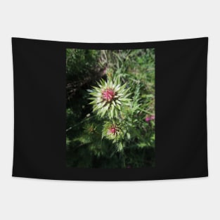 Alpine Thistle Tapestry