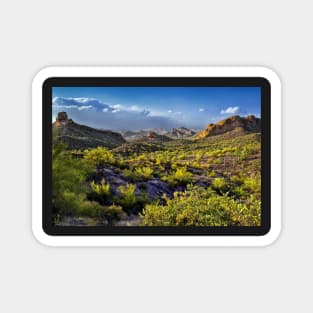 Arizona's Desert Landscape Magnet