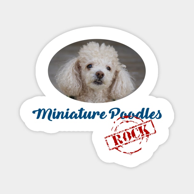 Miniature Poodles Rock! Magnet by Naves