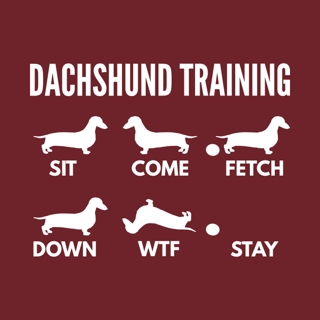 Dachshund Training Dachshund Dog Tricks by DoggyStyles