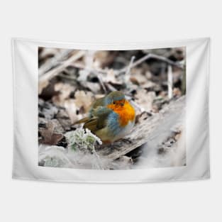 Frosty Robin Tapestry