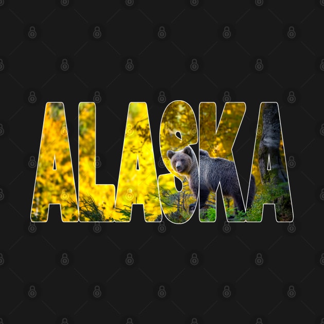 ALASKA - Brown Bear on the Hunt USA by TouristMerch