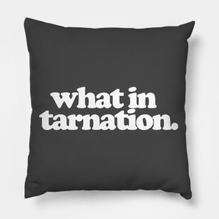 What in tarnation Pillow