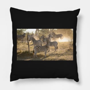 Zebras in the dust, Caprivi, Namibia Pillow