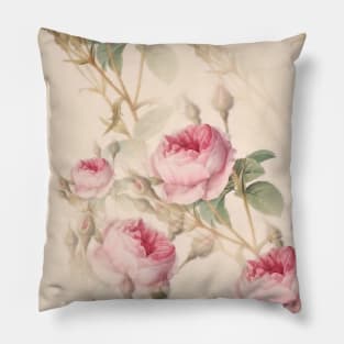 Pink Roses Pillow